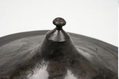 Foto von Bronzephalere (NHMW-PRAE-025108)